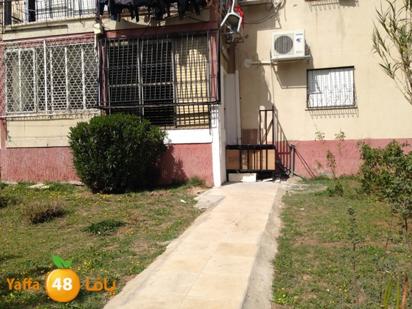 shaqra3eyada (1).JPG